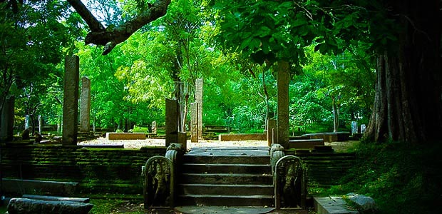 Classic Sri Lanka Tour - 8 Days