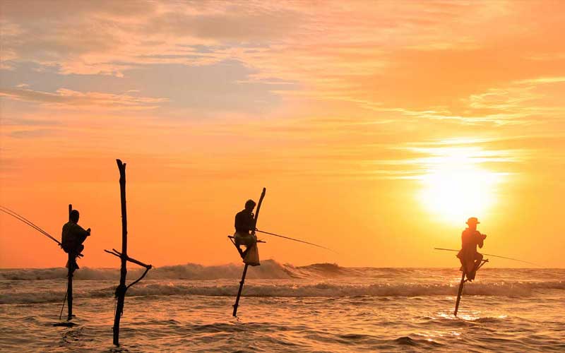 Sri Lanka Honeymoon Tour - 10 Days