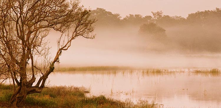 Sri Lanka Wildlife Tour - 10 Days