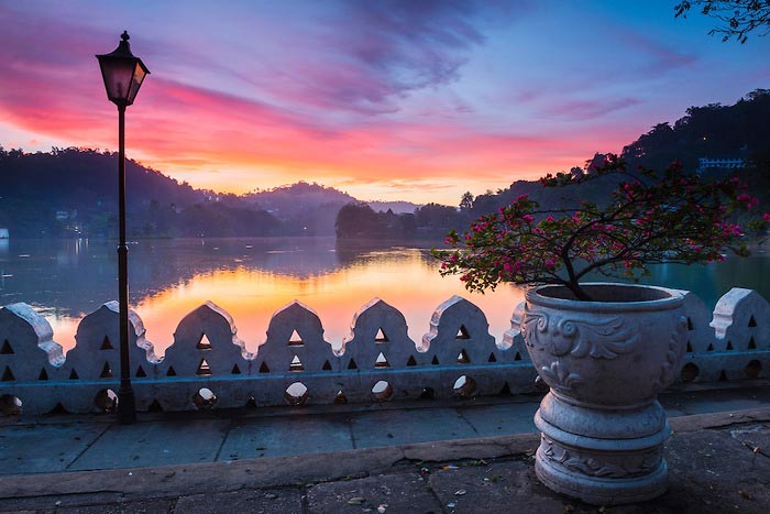 Sri Lanka Wildlife Tour - 10 Days