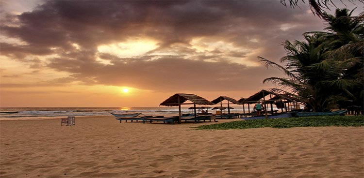 Sri Lanka Wildlife Tour - 10 Days