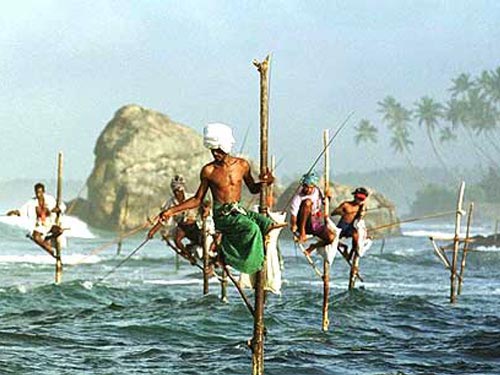 Sri Lanka Beach Tour - 12 Days