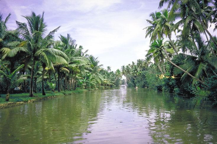 Best Kerala Tour From Delhi With Air Fare (07 Days/06 Night)