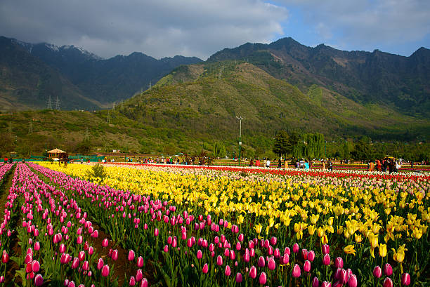 Vaishno Devi With Golden Triangle Tour