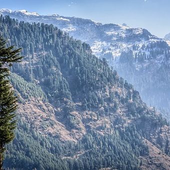 Best Tour Packages For Manali