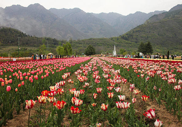 Delhi – Shimla(2n)-manali(3n) Tour