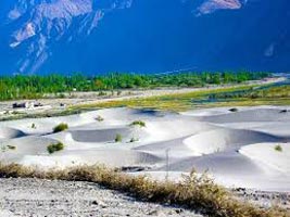 Trans Himalayan Tour A Multi Activity Adventure To The Highest Moon Land In The World ( 23 Ni