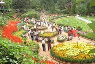 Bangalore Ooty Tour From Bangalore Package By Car - 4 Days