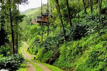 Coorg - 3 Nights / 4 Days Tour