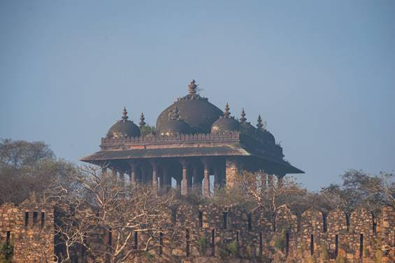 Indian Sojourn Journey  The Deccan Odyssey Luxury Train Tour