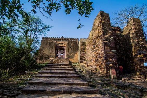 Royal Rajasthan On Wheels Luxury Train Journey Tour