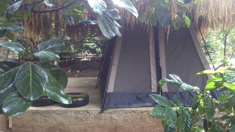 Tent House Packages