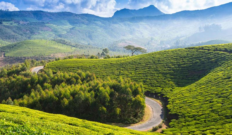 Hill Stations In South India Tour