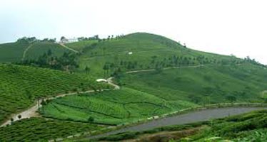 Mesmerizing Darjeeling Gangtok Tour