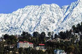 7 Nights 8 Days Himachal Honeymoon
