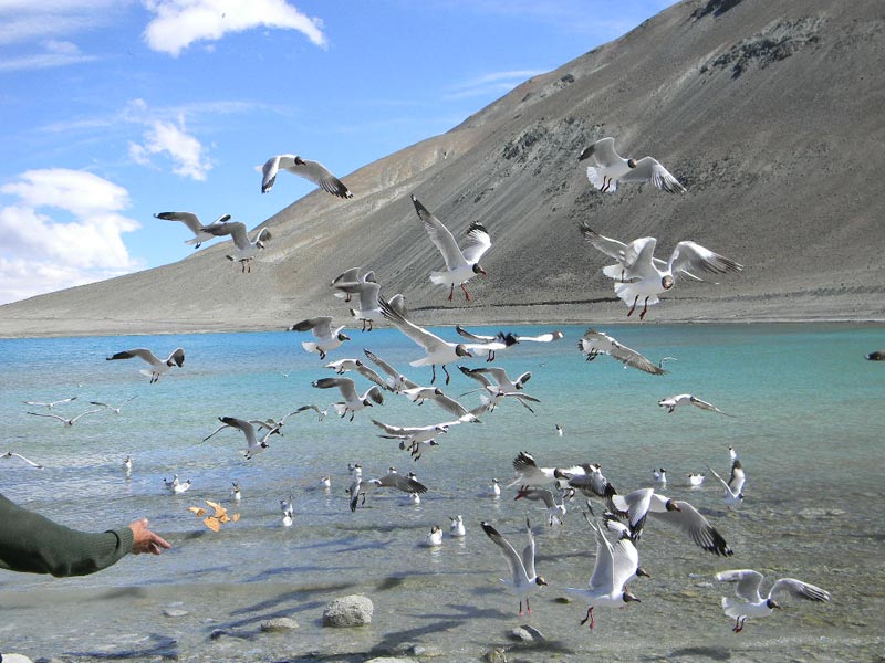 Journey to Ladakh Tour