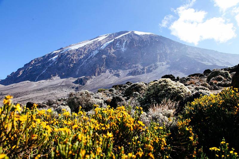 Kilimanjaro climbing Tour