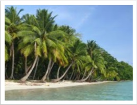 Andaman Island Tours