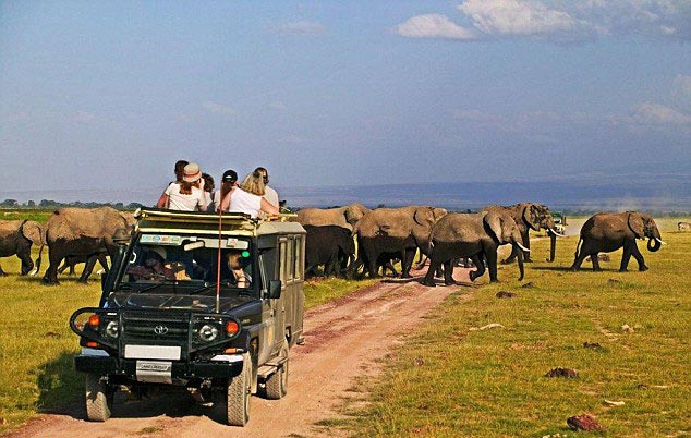 7 Day Safari Ngorongoro, Serengeti Manyara Tour