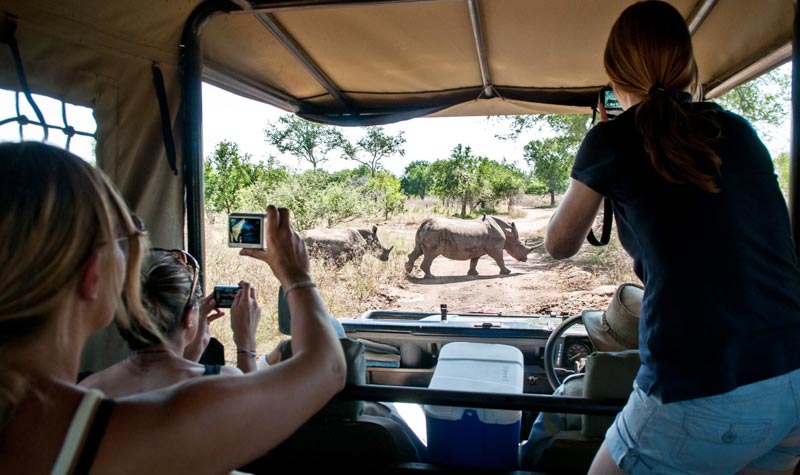 5 Day Tanzania Adventure Tented Camps Safari Tour