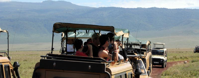 3 Day Tented Camps Safari in Tarangire and Ngorongoro Tour