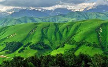 Beautiful Darjeeling Tour