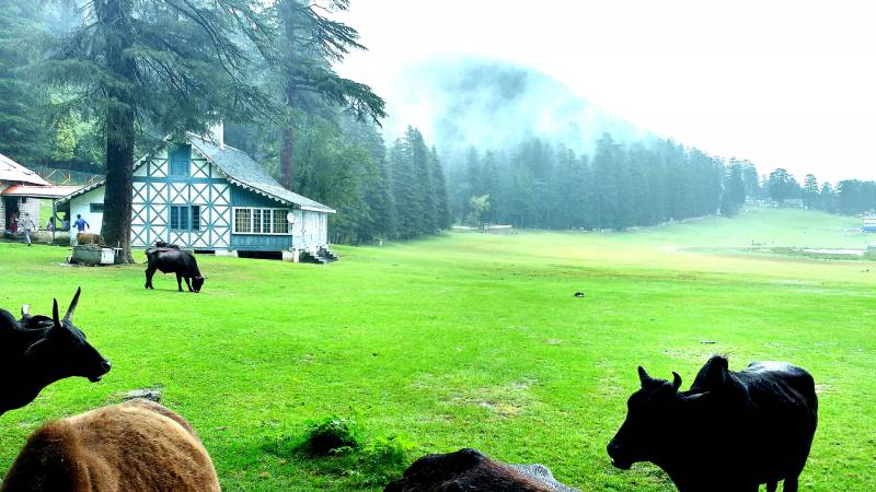 Dharamshala Dalhousie Ac Volvo Package 3 Nights 4 Days Tour