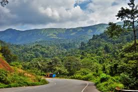 Coorg Hill Station Trip Package