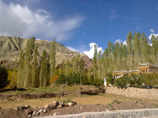 Ladakh Shangri- La Tour