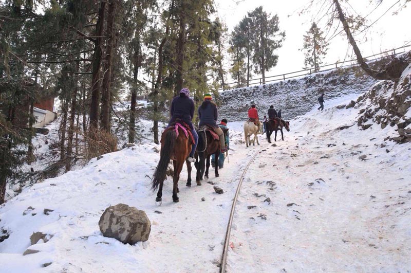 Himachal Delight Tour