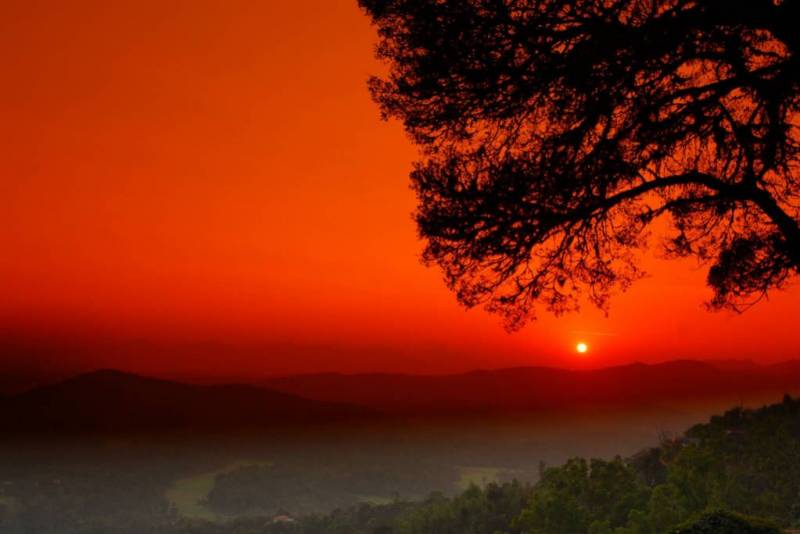 Mysore the Historic City and Coorg the Scotland of India