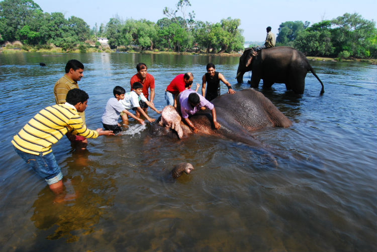 Mysore the Historic City and Coorg the Scotland of India