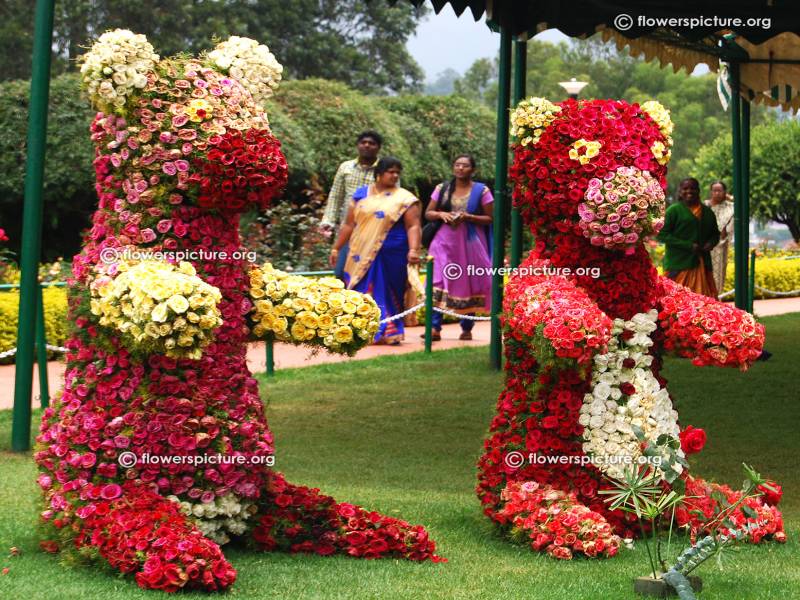 Mysore, Kabini and Ooty