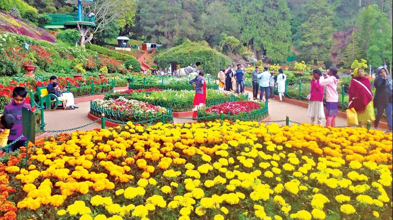 Ooty The Queen Of Hill Stations Tour