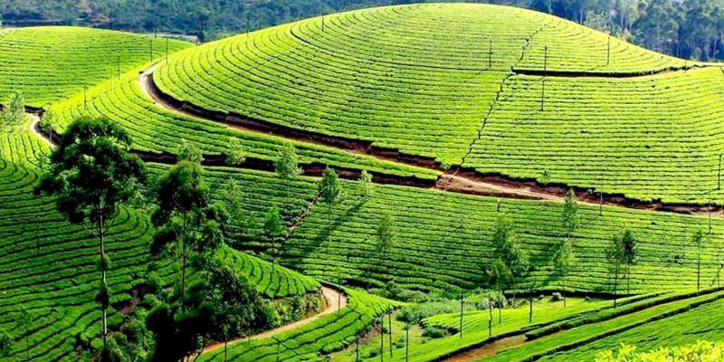 4 Nights and 5 Days  Ooty and Kodaikanal
