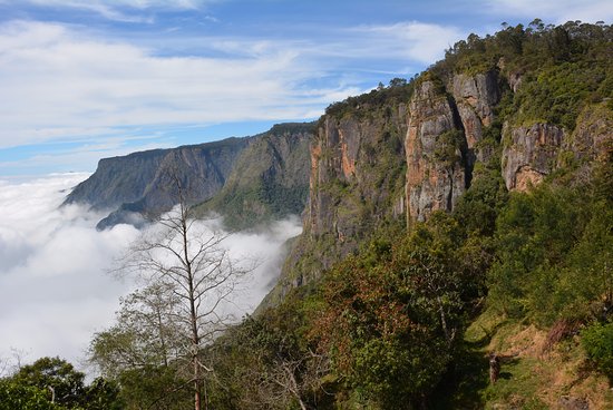 4 Nights and 5 Days  Ooty and Kodaikanal