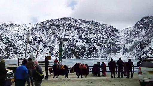 Delightful North East with Pelling Tour