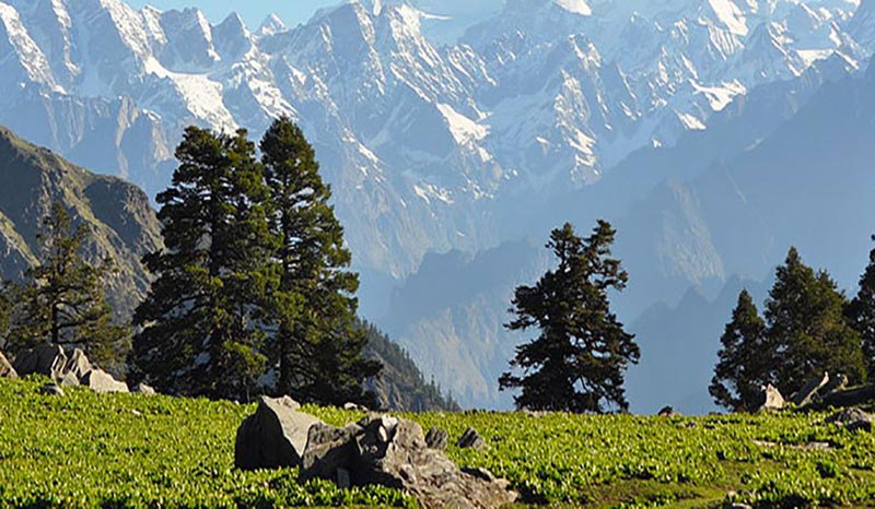 Peaceful Himalayas By Volvo Tour