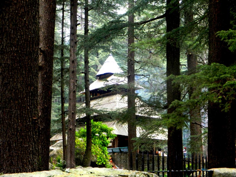 Mesmerizing Himalayas By Cab Tour