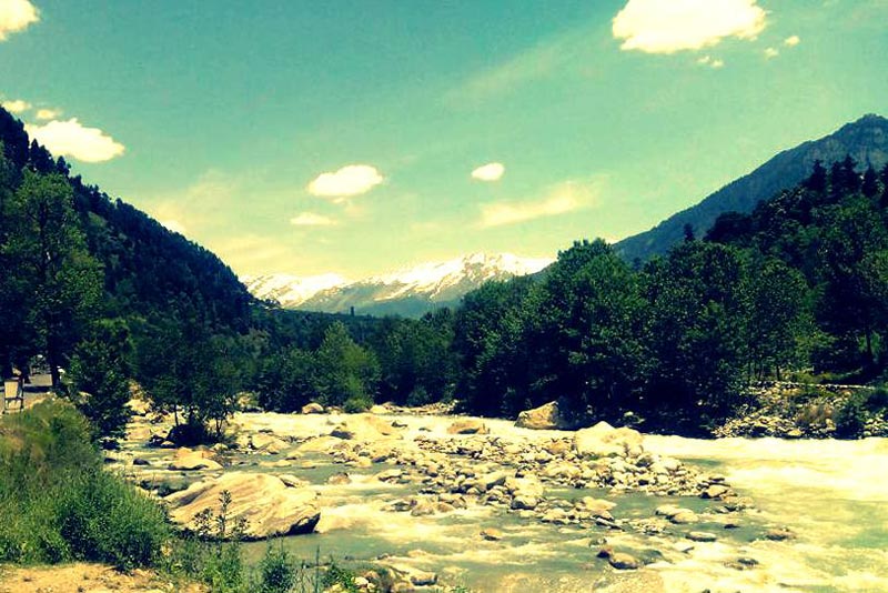 Snow Point Tour By Cab(Manali)