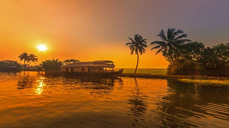Alleppey Backwater Cruise Tour