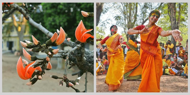 Pilgrimage Tour Mathura & Vrindavan