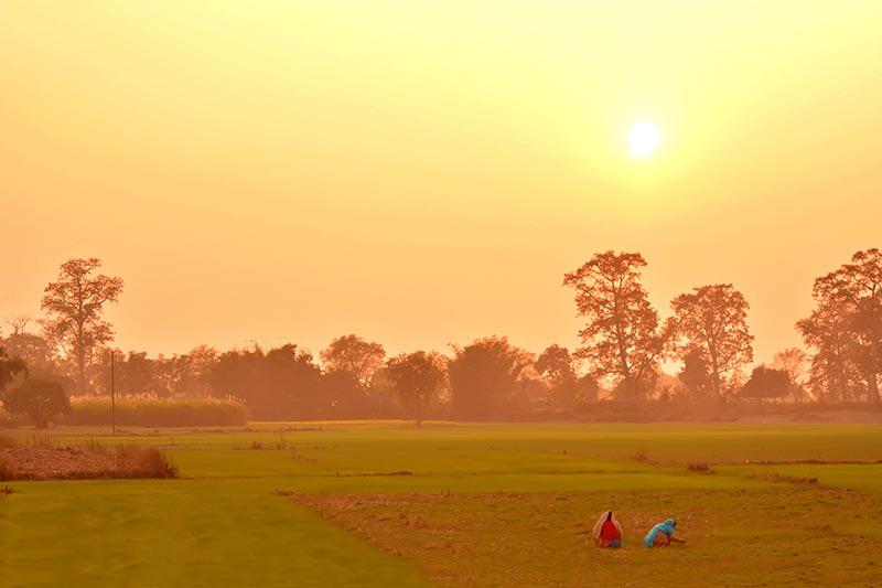 Golden Triangle Tour