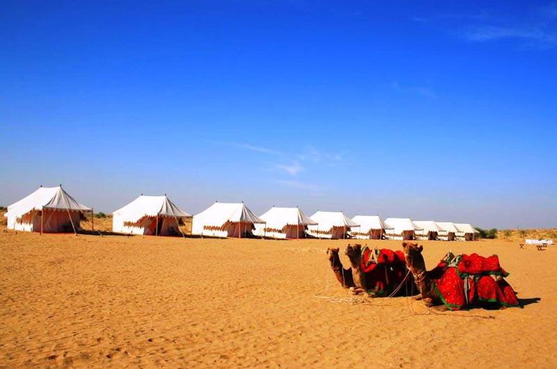 Camping Tour At Jaisalmer Rajasthan