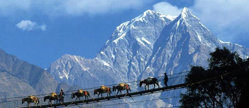 Leisurely North East With Pelling Tour