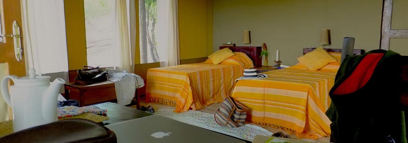 7-Day Tarangire, Serengeti & Ngorongoro'S -Big Five Safaris Tour