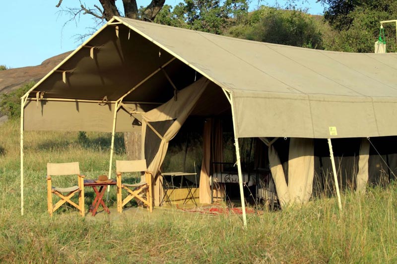 7-Day Tarangire, Serengeti & Ngorongoro'S -Big Five Safaris Tour