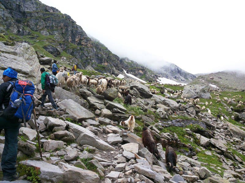 Himachal Temple Tour