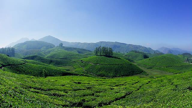 Coimbatore - Kodaikanal - Munnar - Thekkady - Coimbatore (05 nights 06 days)