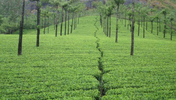 Kerala Package.. Heaven In South India